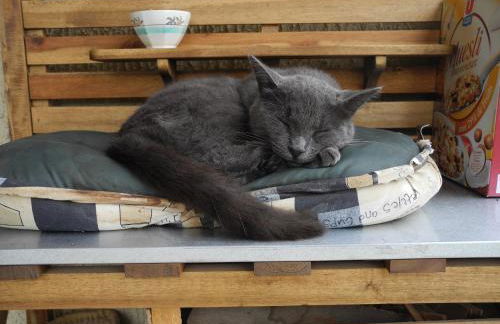 La Maison Imparfaite - Foto 22