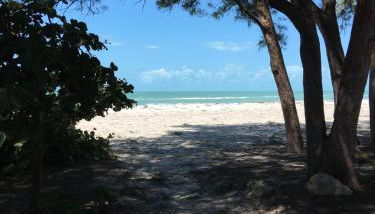 Bamboo Apartments - Foto 5