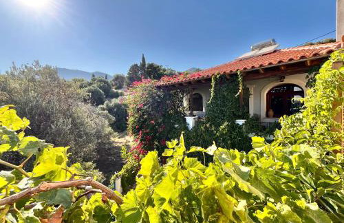 Pantheon Apartments & Studios - Photo 40