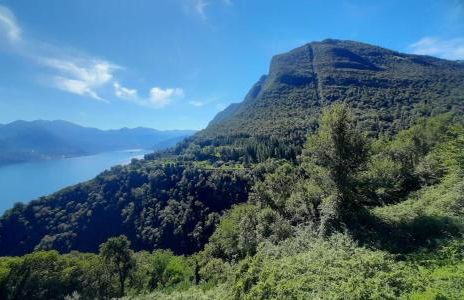 Il Giardino vista lago - Foto 12