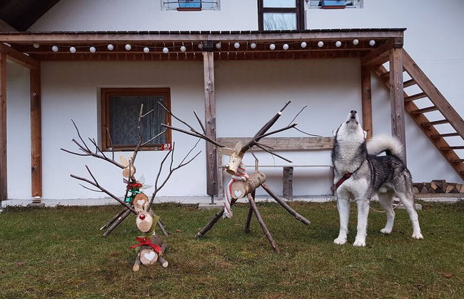 Soča Home With The View - Foto 45