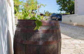 Apartments Yucca - Photo 60