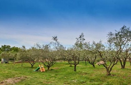 Apartment Sandro - Foto 35