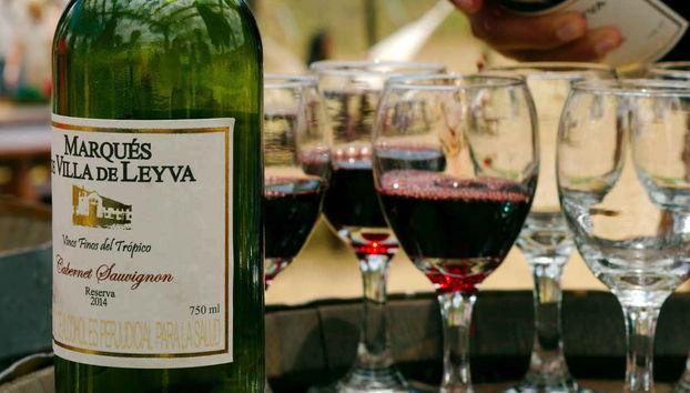 Visit to the Marques Villa de Leyva Vineyard - Foto 4