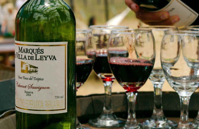 Visit to the Marques Villa de Leyva Vineyard - Foto 4