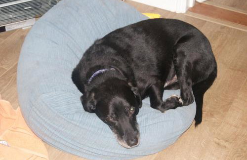 Sam's Stable - Photo 10