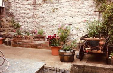 Neckarblick,Natur, Altstadt - Photo 38