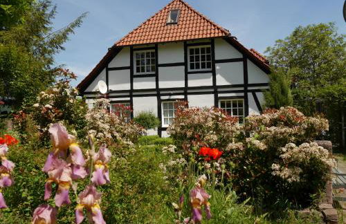 Ferienwohnung Weserblick Polle - Foto 34