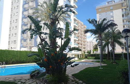 Palmeras III Solo Familias Serviplaya!!! - Foto 33