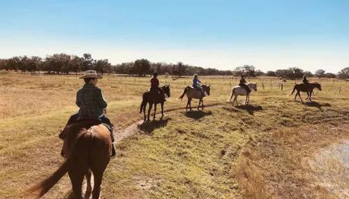 The Ranch at River Breeze ,Escape to River Ranch! - Foto 5