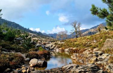 D'Oliva Gerês - River Side Houses - Foto 8