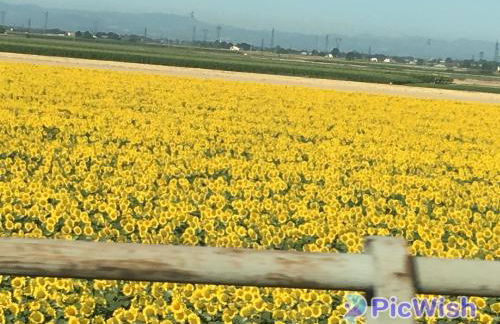 Casa RODA - Photo 62