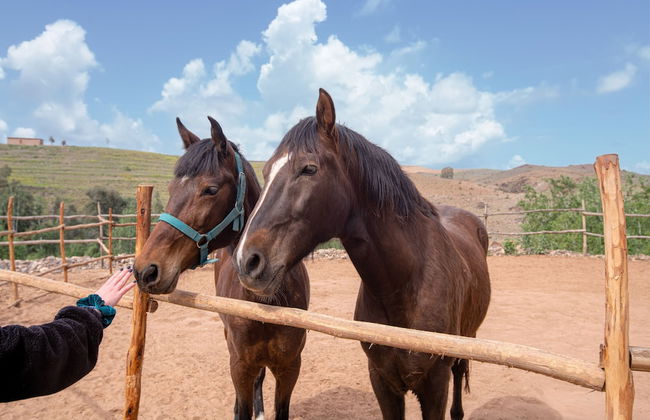La Fattoria Ecolodge - Foto 44