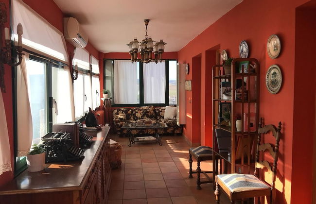 El Olivo de Sansol - Foto 3