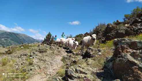 Ferme Can Llull - Foto 5