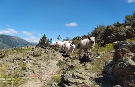 Ferme Can Llull - Foto 5