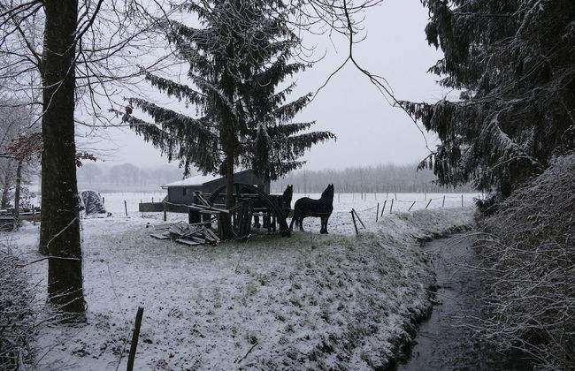 Modern Comfort in a Central Spot - Foto 66