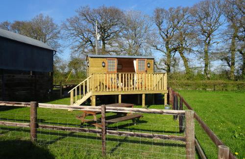 The Lazy Shepherd - Foto 9