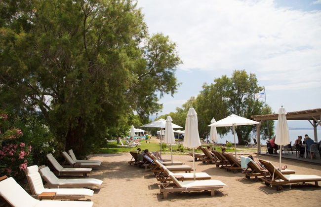 Olive Press Hotel & Apartments - Foto 36