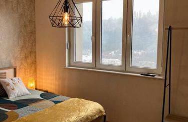 Les Fougères 12 personnes SPA/SAUNA - Foto 15