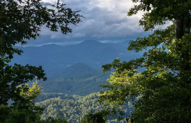 Luxury 4200 Sqft Log Cabin on 50 Acres Sleeps 16 - Foto 64