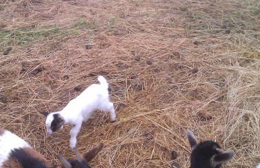 Agriturismo Torre Cristina - Foto 36