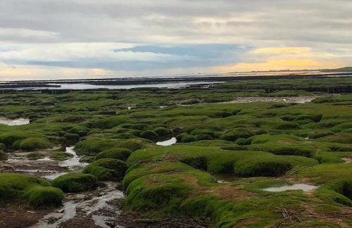 Lieblingsstube - Foto 11