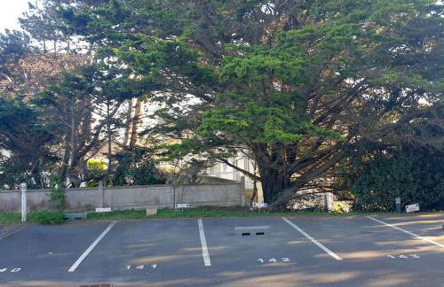 Studio au calme Accès Mer & Plage - Photo 18