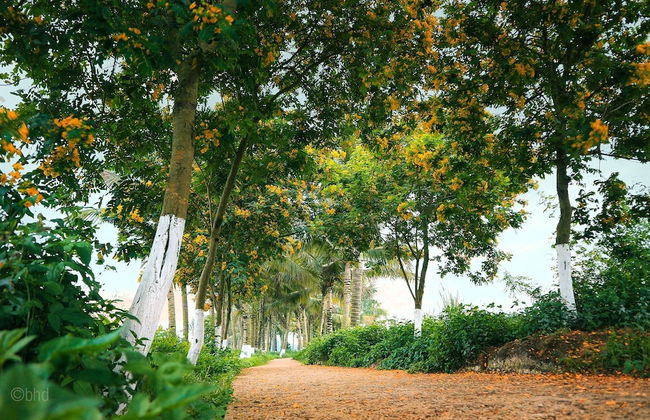 Friendly House QMP - Ecopark - Photo 34