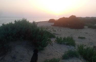 Village House - Foto 23