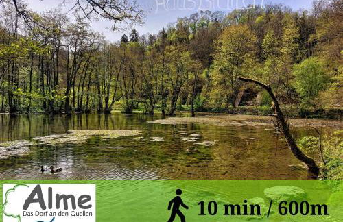 HAUS BRAILEN in Brilon Alme - Foto 39