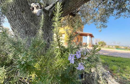 Il Sentiero Del Poeta - Country House - Foto 50