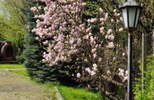 Wpadnij do Zosi - przy wyciągu - Foto 10