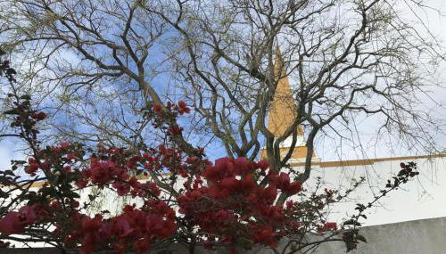 Apartamento acolhedor no centro da cidade, com pátio privado. - Photo 4