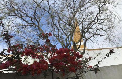 Apartamento acolhedor no centro da cidade, com pátio privado. - Photo 4