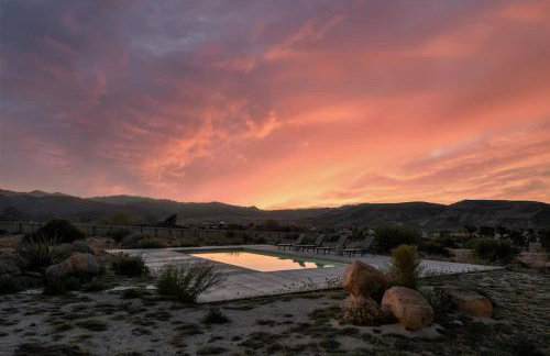 The Raven By The Cohost Company - Foto 47