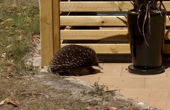 Bay Retreat Port Arthur - Photo 9