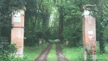 La Chartreuse et son Orangerie - Foto 2