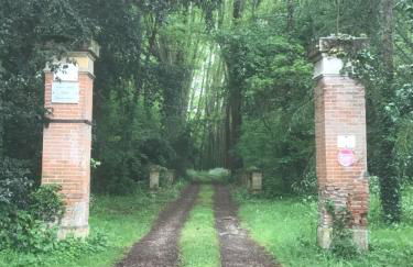 La Chartreuse et son Orangerie - Foto 2