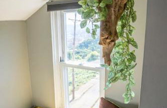 The Peak Mt Washington - Large 2bd Apt w A View - Foto 43