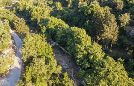 Villa Klados - Photo 18