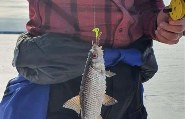 Paseo con raquetas de nieve + Pesca en el hielo - Foto 8