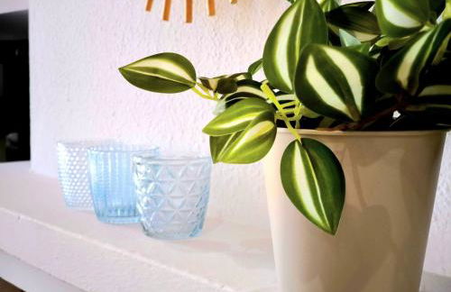 Soleadore Luna - Photo 22