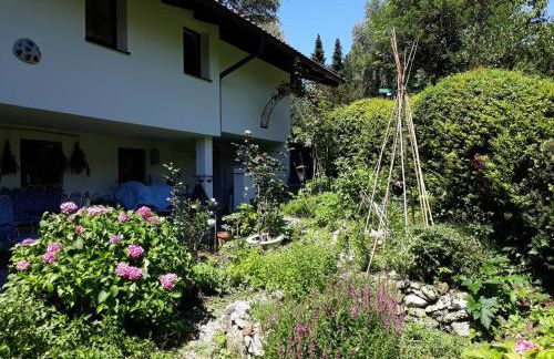 Studio Luise - Foto 14