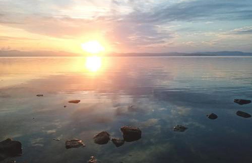 La Gatta sul Tetto - Foto 16