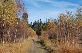 Morze Gór - Foto 34