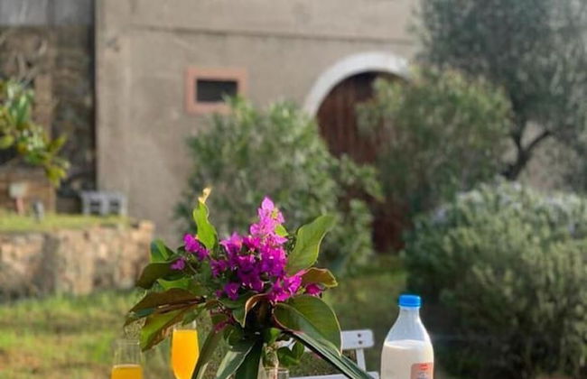 Mas Gelamà - Foto 22