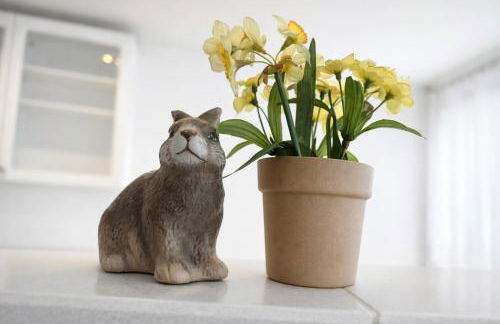 Haus Mammut - Geräumiges Luxus Apartment - Foto 34