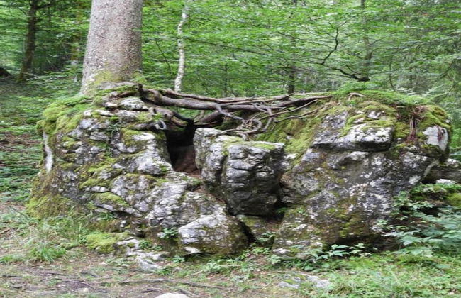 Apartment in Damuls Near Hiking Trails - Photo 37