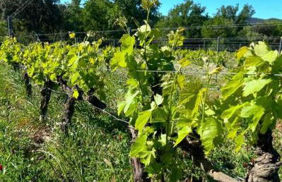 La villa fonbrun au calme - Foto 32